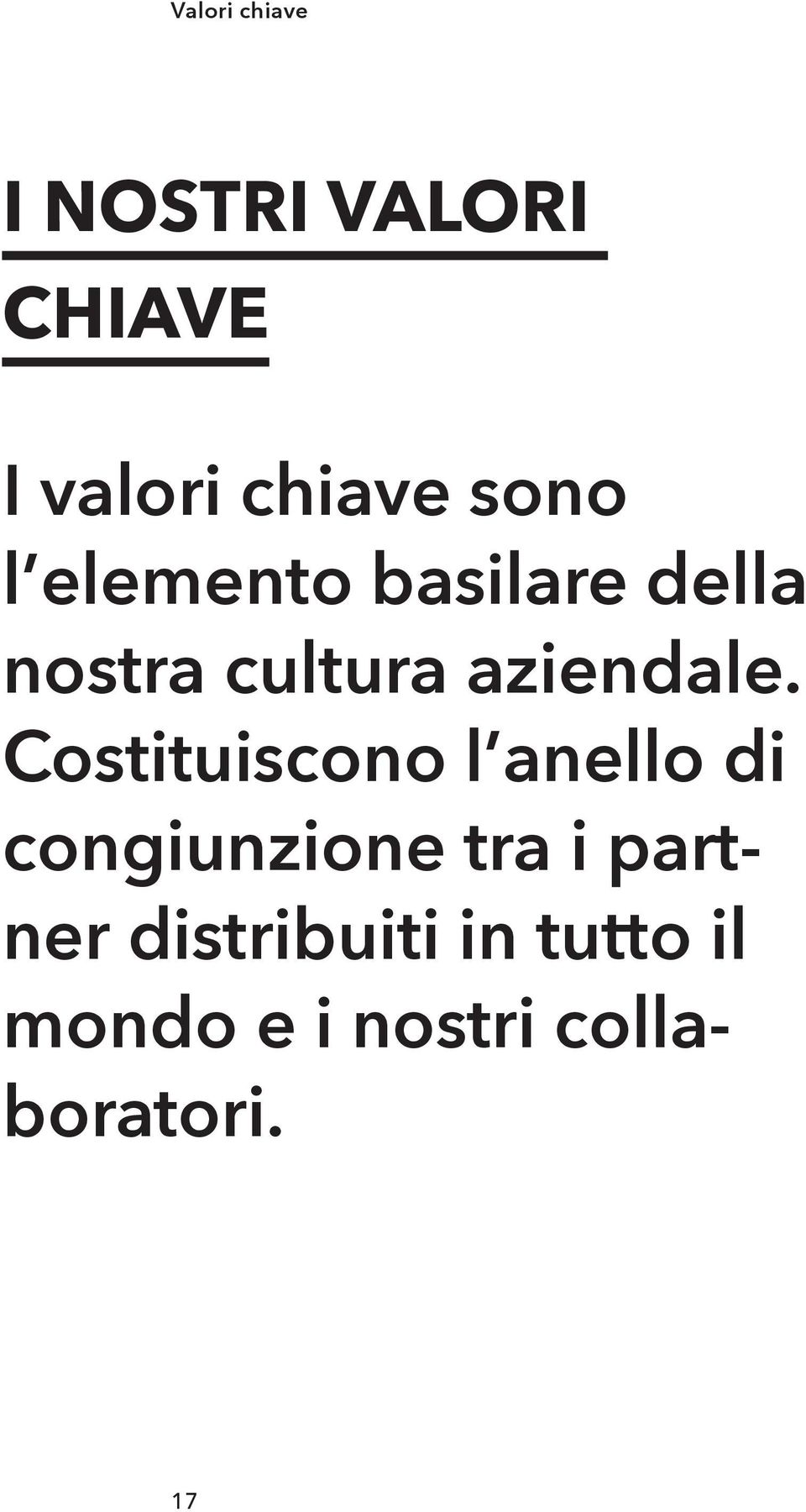 Costituiscono lʼanello di congiunzione tra i partner