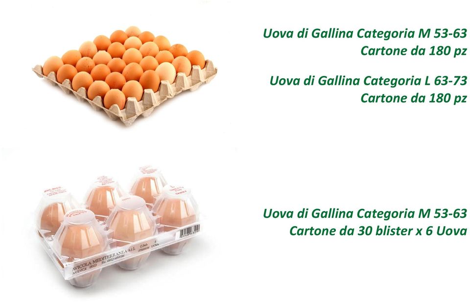 63-73 Cartone da 180 pz  da 30 blister x