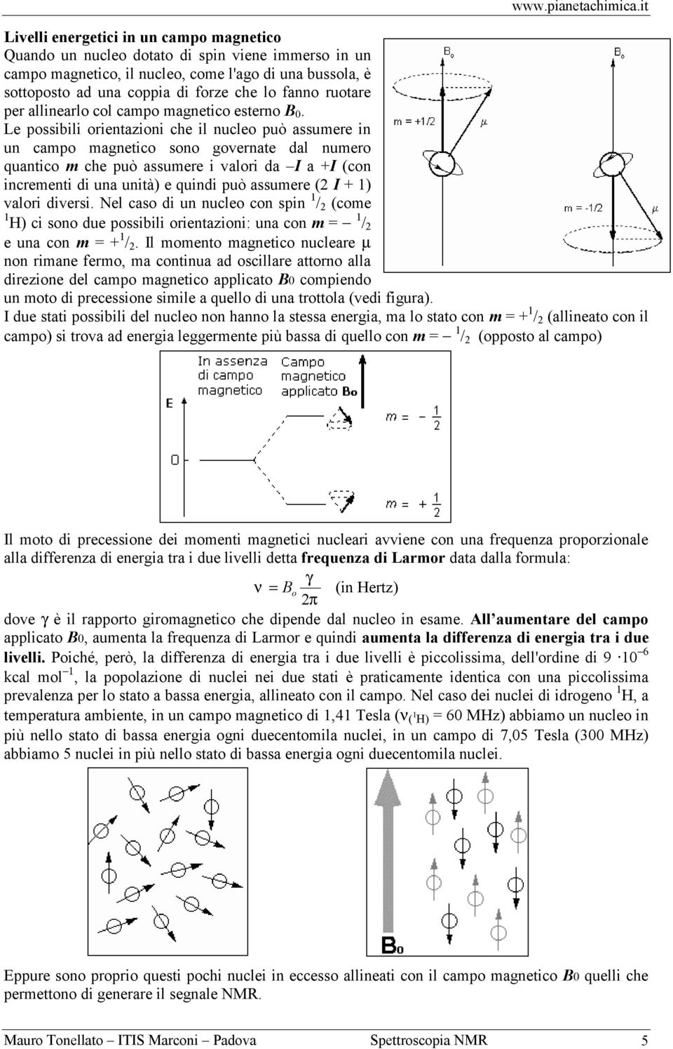 Le possibili orientazioni che il nucleo può assumere in un campo magnetico sono governate dal numero quantico m che può assumere i valori da I a +I (con incrementi di una unità) e quindi può assumere