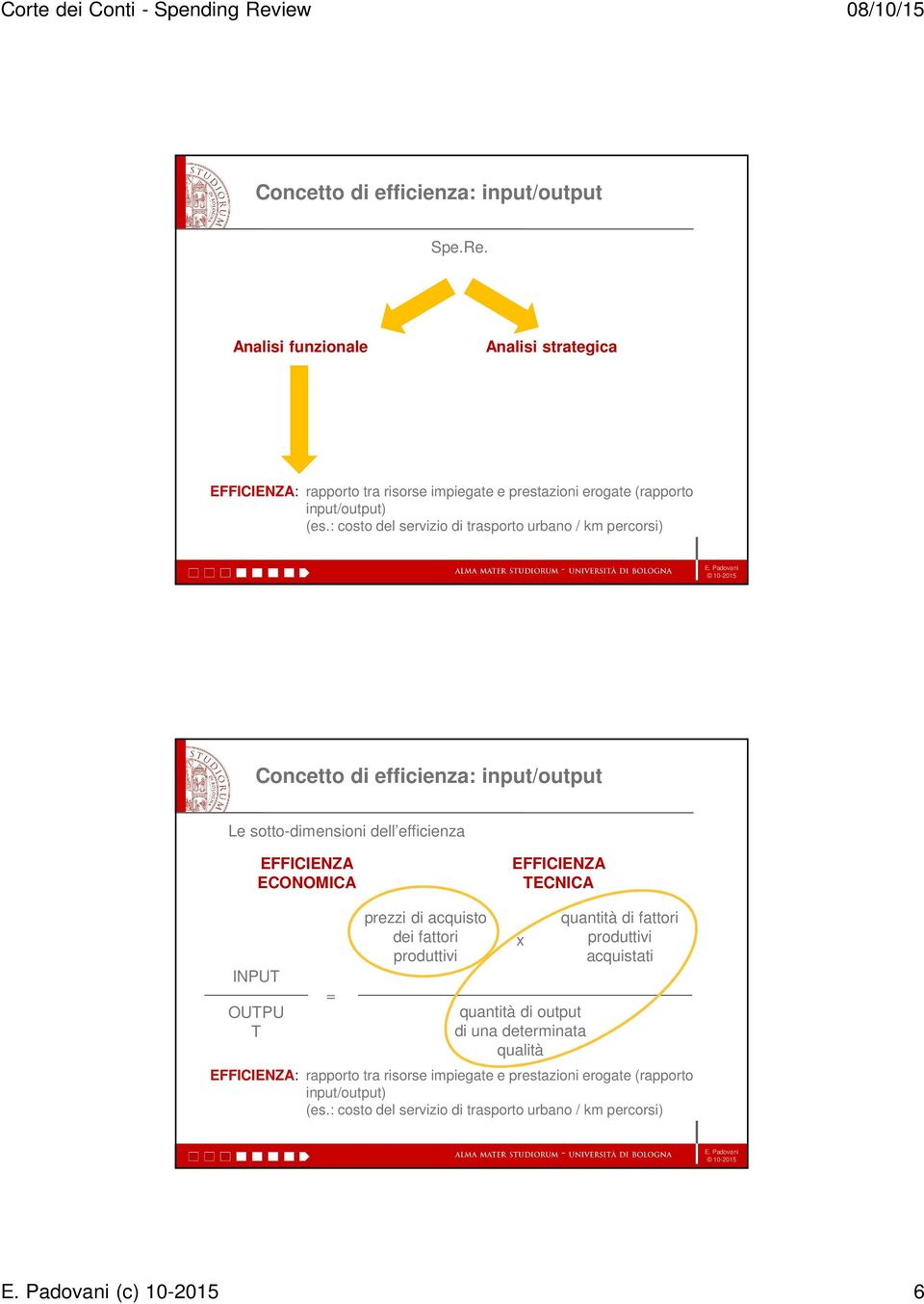 : costo del servizio di trasporto urbano / km percorsi) Concetto di efficienza: input/output Le sotto-dimensioni dell efficienza EFFICIENZA ECONOMICA EFFICIENZA