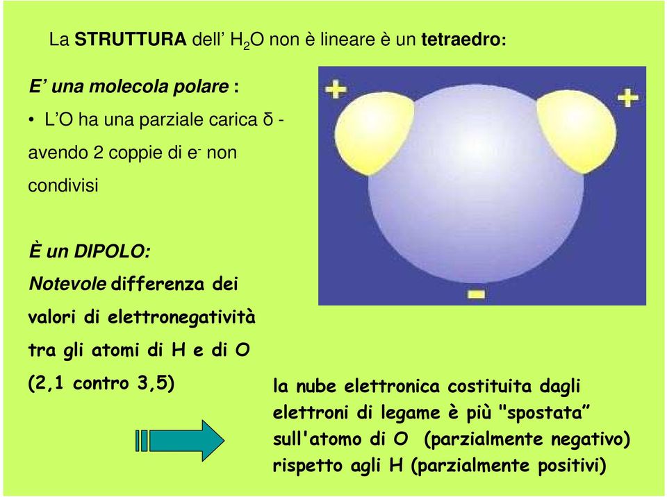 elettronegatività tra gli atomi di H e di O (2,1 contro 3,5) la nube elettronica costituita dagli