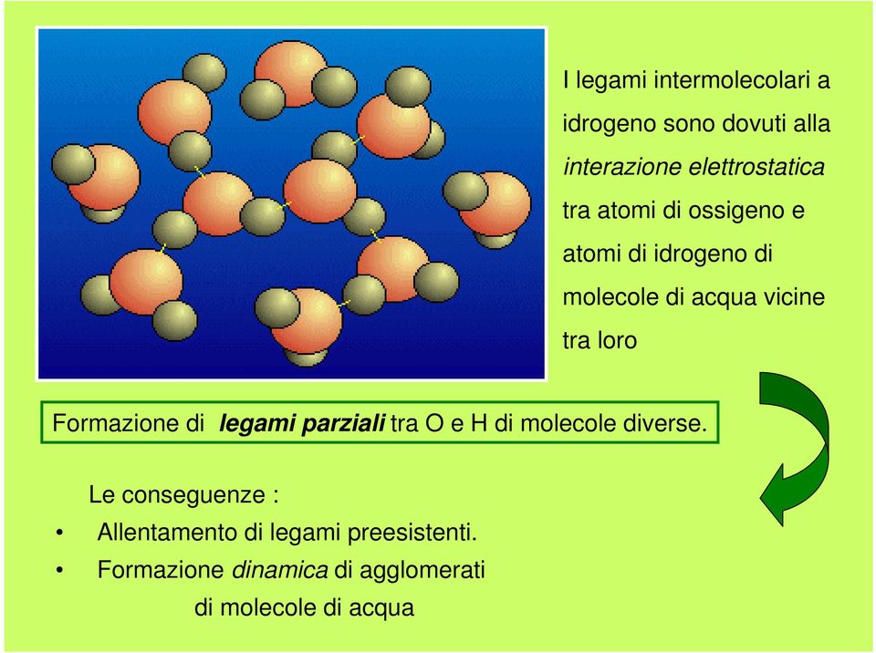 Formazione di legami parziali tra O e H di molecole diverse.