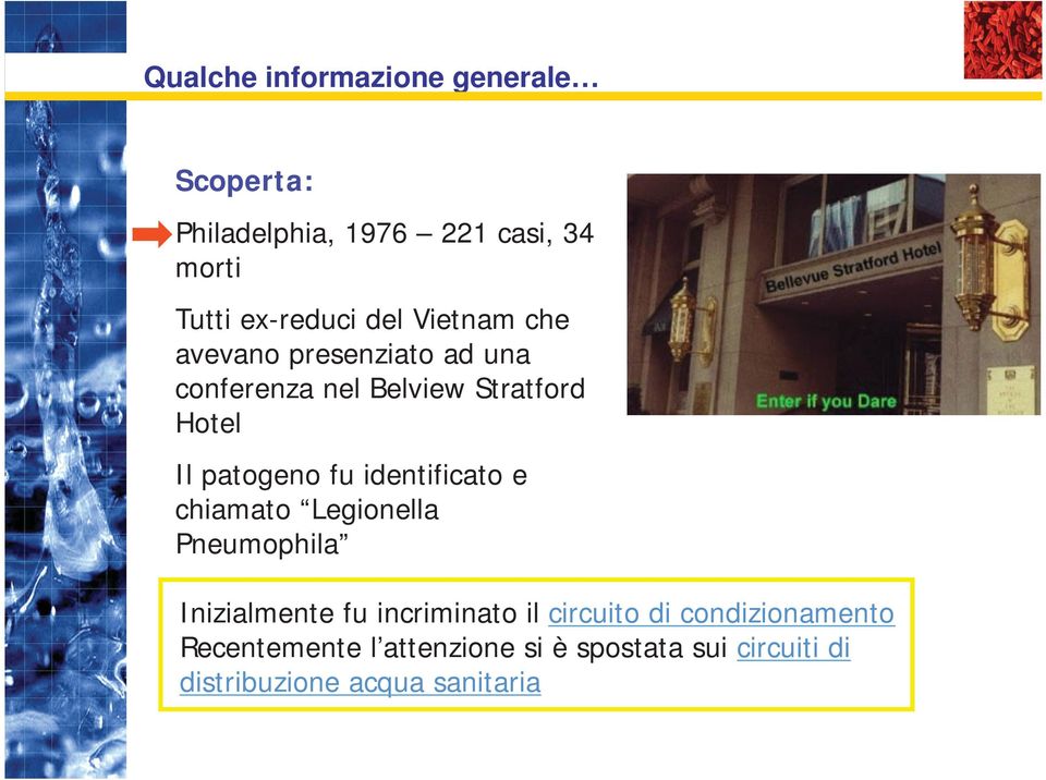 fu identificato e chiamato Legionella Pneumophila Inizialmente fu incriminato il circuito di