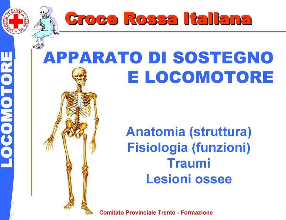 Anatomia (struttura)