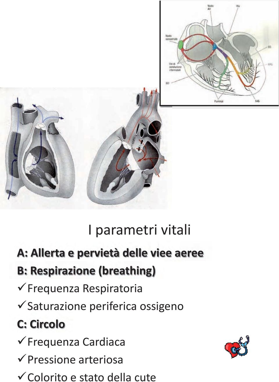 Respiratoria Saturazione periferica ossigeno C: