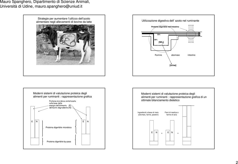 base della energia dell alimento (E) dell azoto degradabile (N) Moderni sistemi di valutazione proteica degli alimenti per ruminanti : rappresentazione grafica di un ottimale