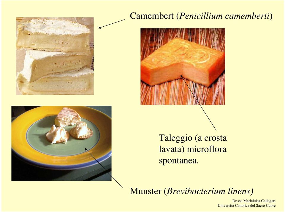 crosta lavata) microflora