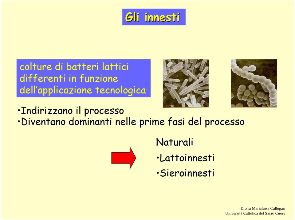 Indirizzano il processo Diventano dominanti nelle