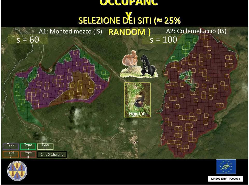 Montedimezzo (IS) A2: Collemeluccio