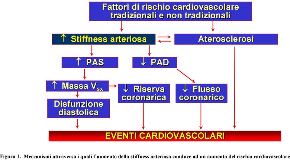 coronarica Flusso coronarico EVENTI CARDIOVASCOLARI Figura 1.