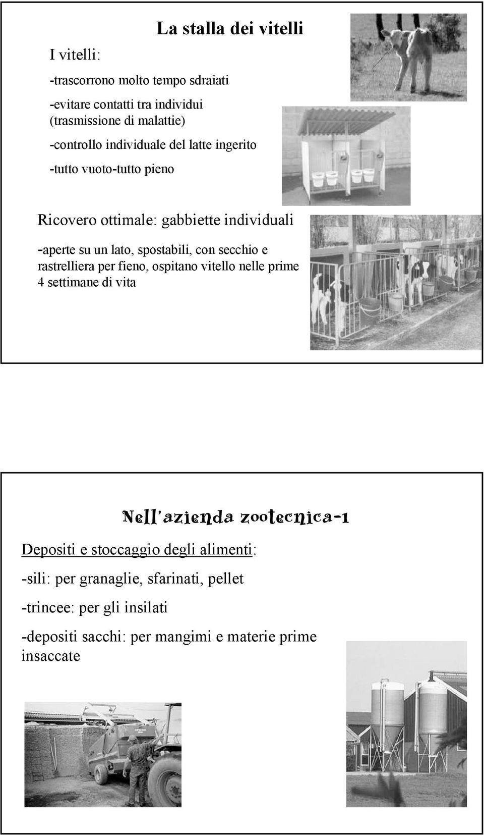 spostabili, con secchio e rastrelliera per fieno, ospitano vitello nelle prime 4 settimane di vita Nell azienda zootecnica-1 Depositi