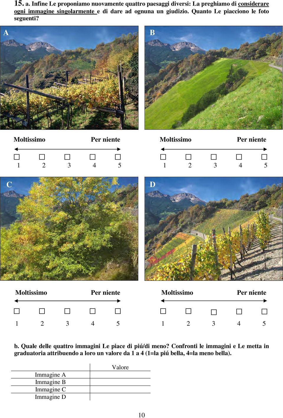 singolarmente e di dare ad ognuna un giudizio. Quanto Le piacciono le foto seguenti? A B C D b.