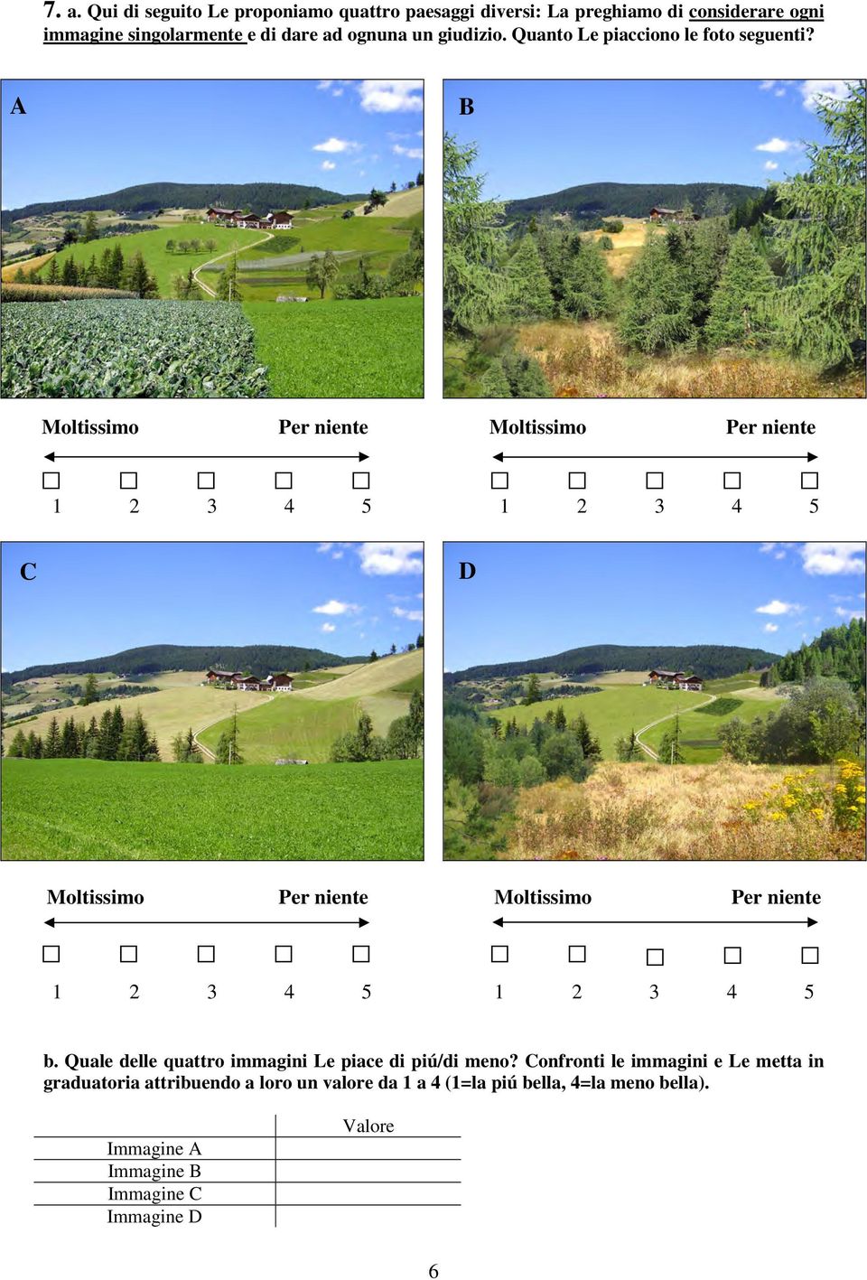 Quale delle quattro immagini Le piace di piú/di meno?