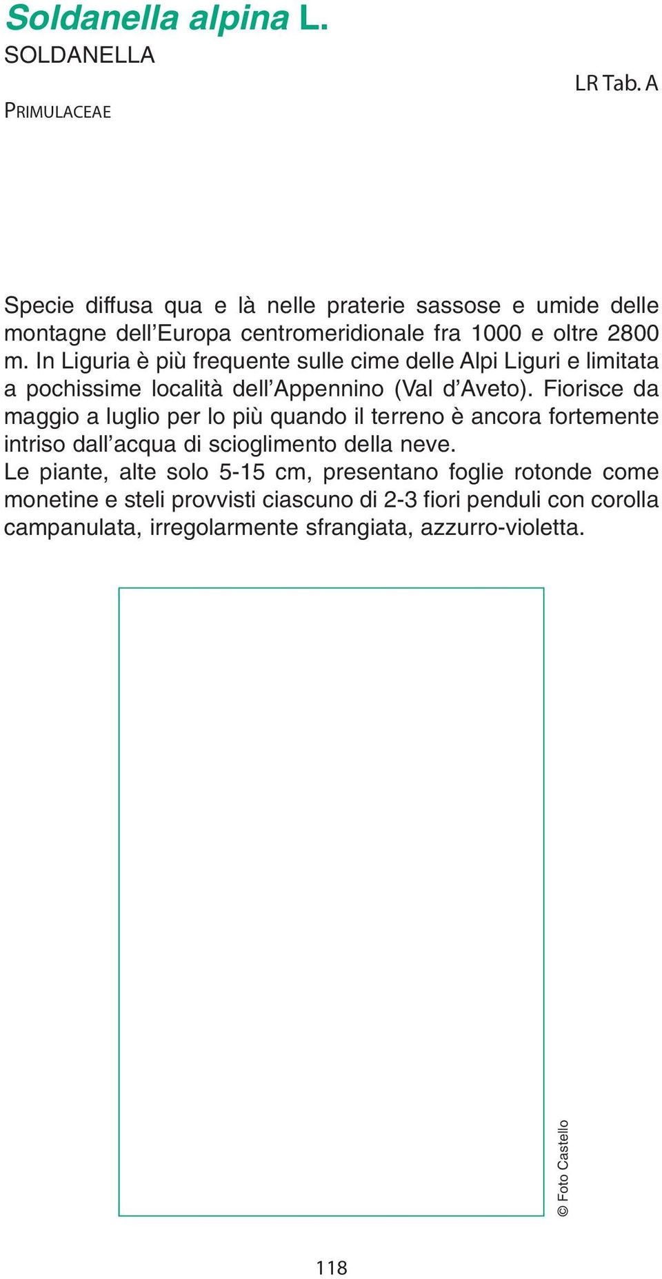 In Liguria è più frequente sulle cime delle Alpi Liguri e limitata a pochissime località dell Appennino (Val d Aveto).