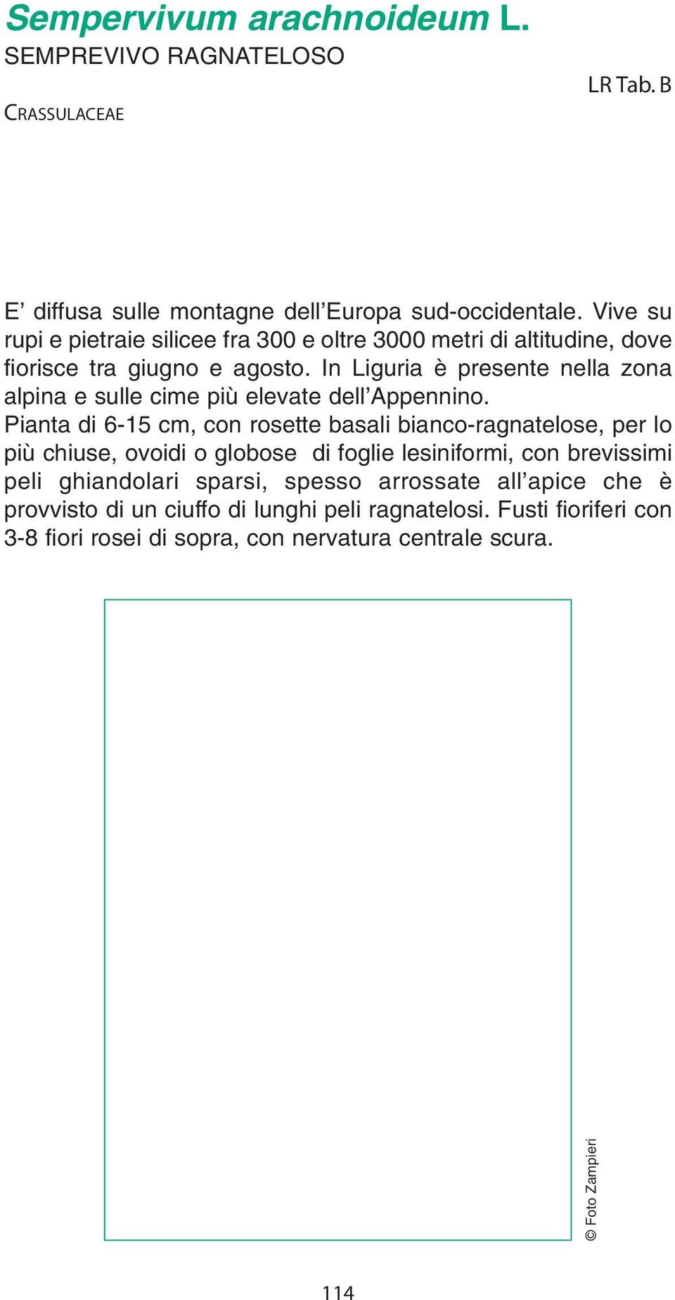 In Liguria è presente nella zona alpina e sulle cime più elevate dell Appennino.