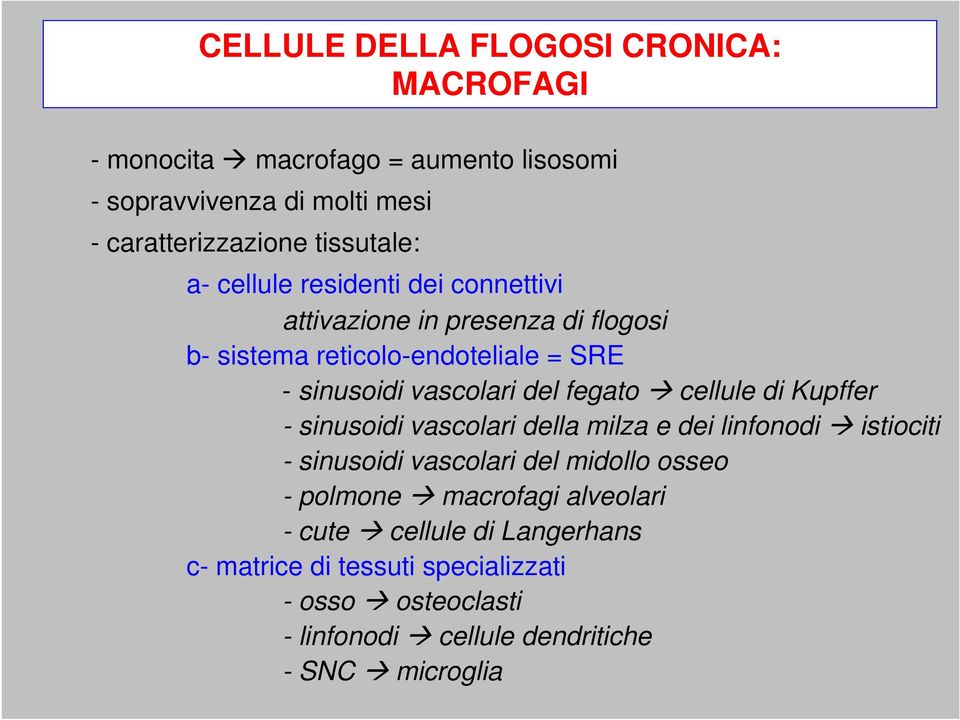 vascolari del fegato cellule di Kupffer - sinusoidi vascolari della milza e dei linfonodi istiociti - sinusoidi vascolari del midollo osseo