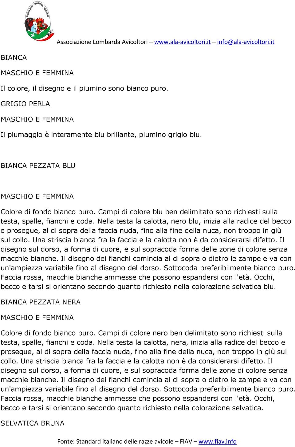 Nella testa la calotta, nero blu, inizia alla radice del becco e prosegue, al di sopra della faccia nuda, fino alla fine della nuca, non troppo in giù sul collo.