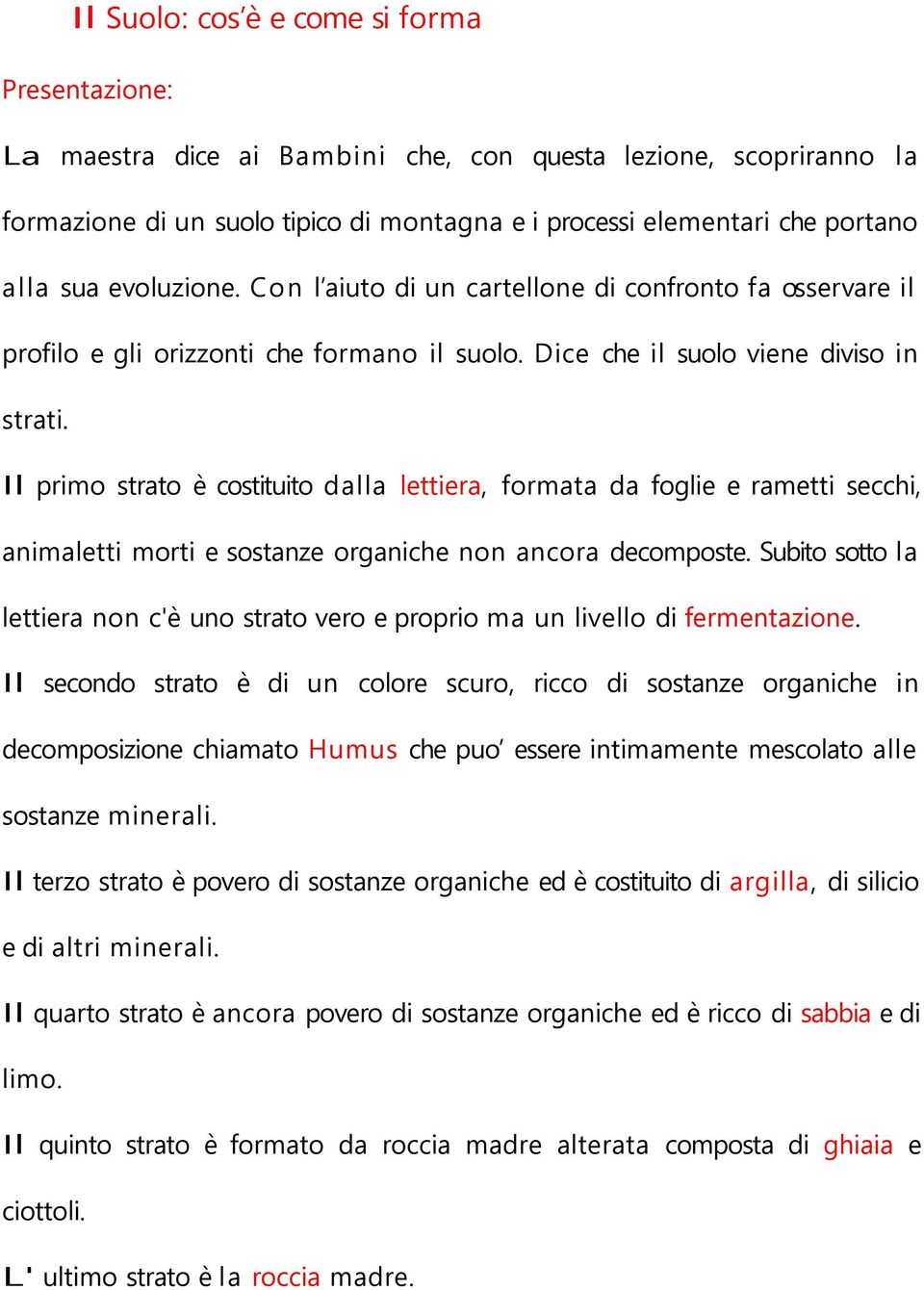 Il primo strato è costituito dalla lettiera, formata da foglie e rametti secchi, animaletti morti e sostanze organiche non ancora decomposte.