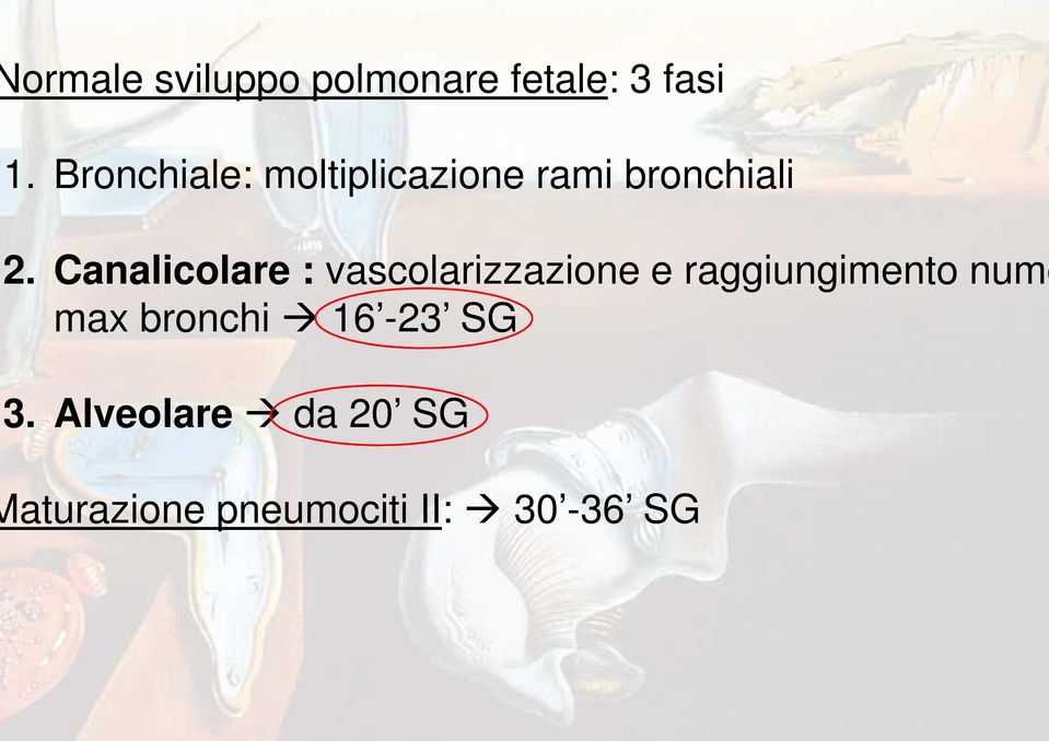 Canalicolare : vascolarizzazione e raggiungimento nume