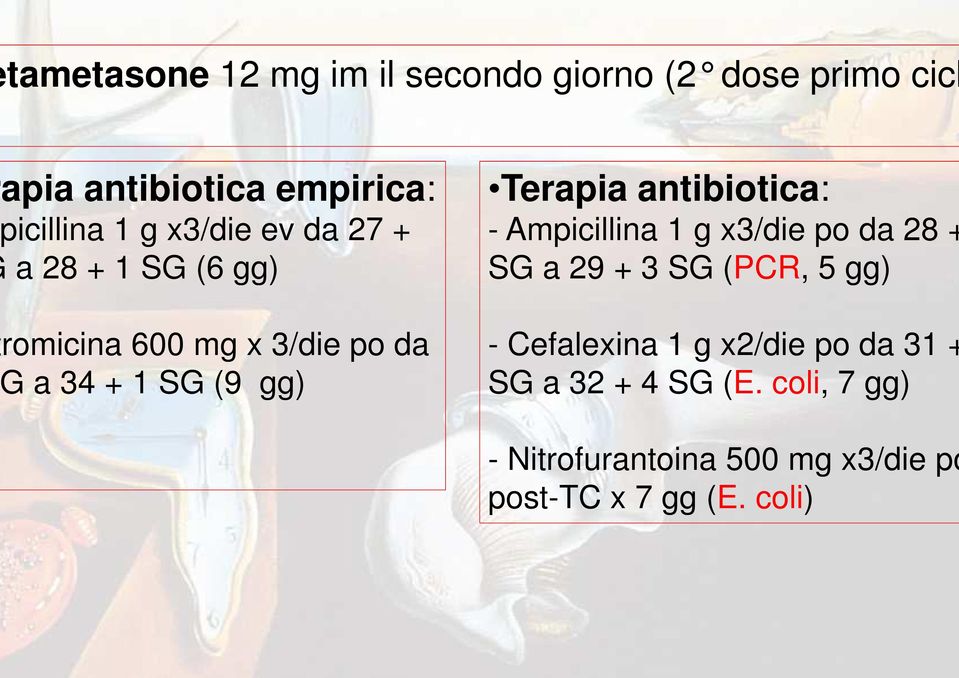antibiotica: - Ampicillina 1 g x3/die po da 28 + SG a 29 + 3 SG (PCR, 5 gg) - Cefalexina 1 g