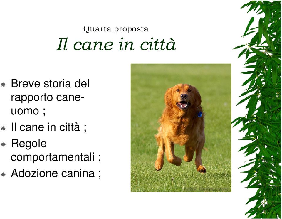 caneuomo ; Il cane in città ;