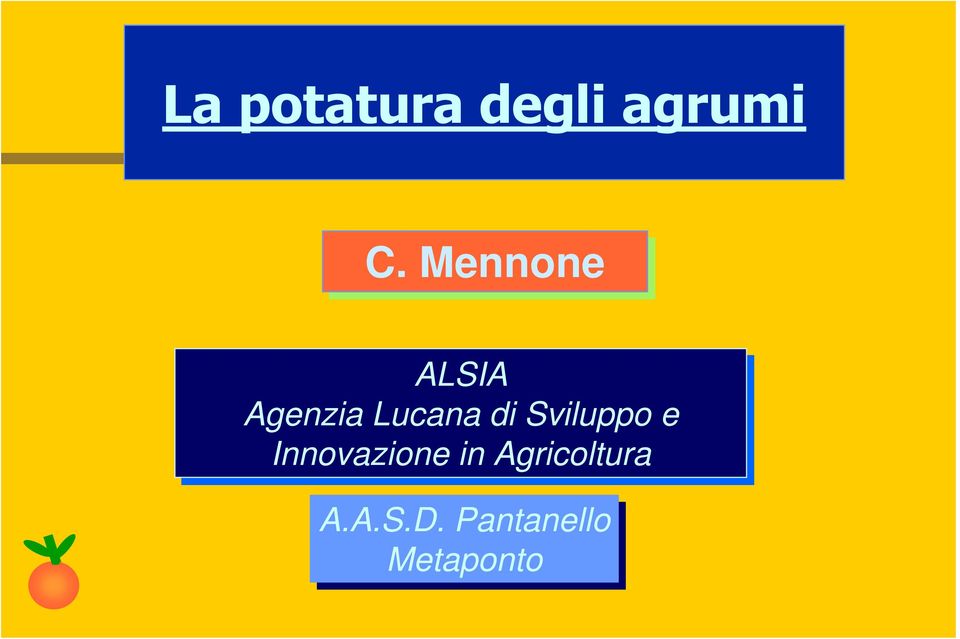 di Sviluppo e Innovazione in in