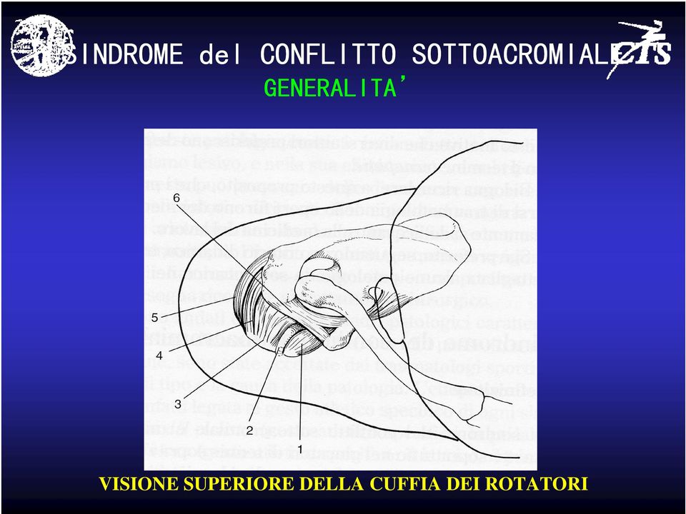 GENERALITA VISIONE