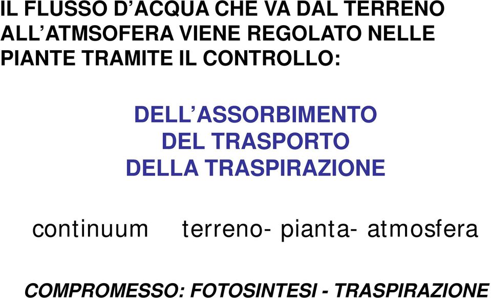 ASSORBIMENTO DEL TRASPORTO DELLA TRASPIRAZIONE continuum