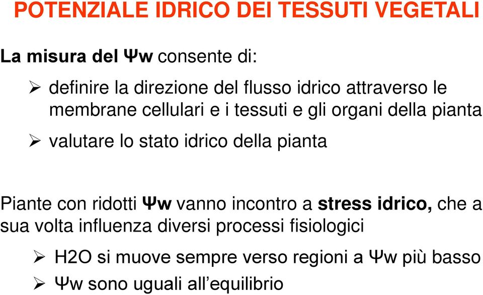 idrico della pianta Piante con ridotti Ψw vanno incontro a stress idrico, che a sua volta influenza