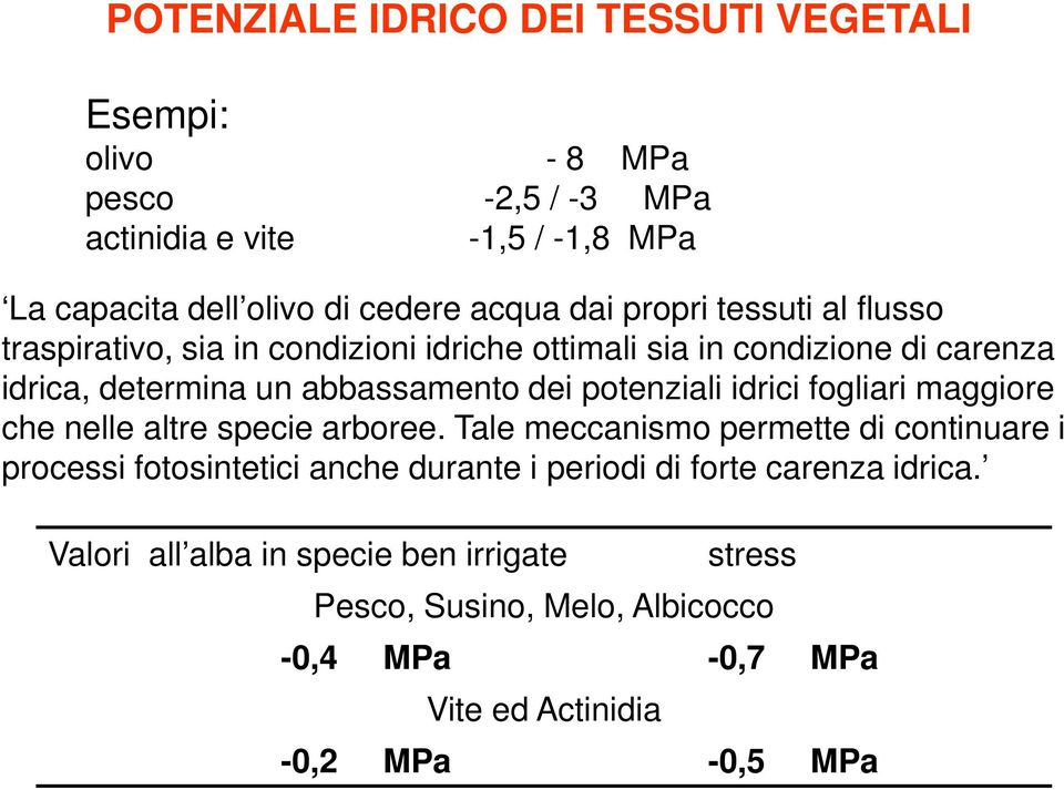 potenziali idrici fogliari maggiore che nelle altre specie arboree.