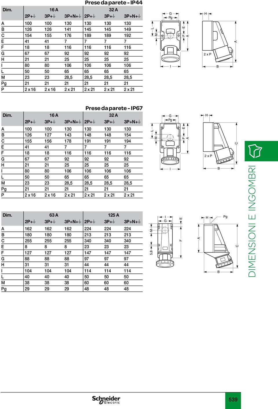 M 23 23 28,5 28,5 28,5 28,5 Pg 21 21 21 21 21 21 P 2 x 16 2 x 16 2 x 21 2 x 21 2 x 21 2 x 21 Pg I 2 x P Prese da parete - IP67 Dim.