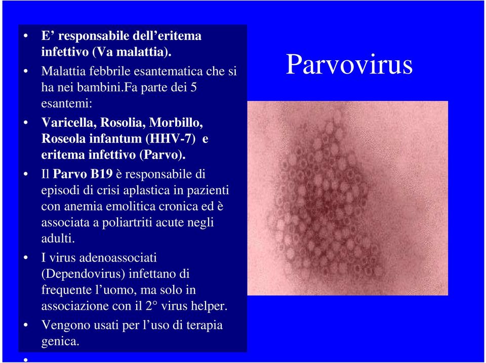 Il Parvo B19 è responsabile di episodi di crisi aplastica in pazienti con anemia emolitica cronica ed è associata a poliartriti