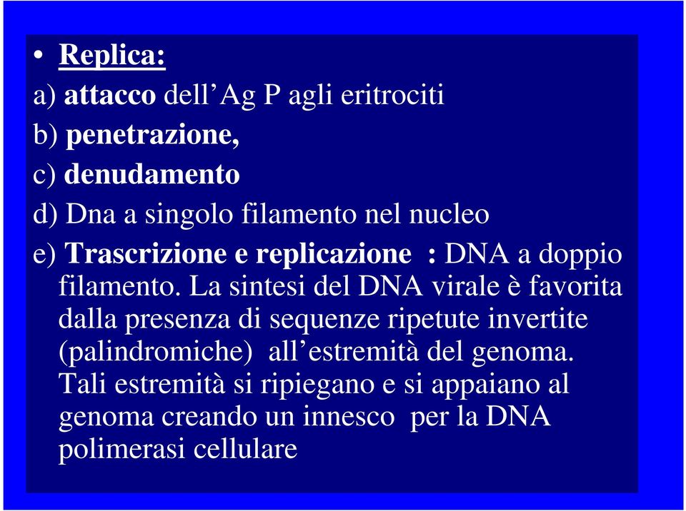 La sintesi del DNA virale è favorita dalla presenza di sequenze ripetute invertite (palindromiche)