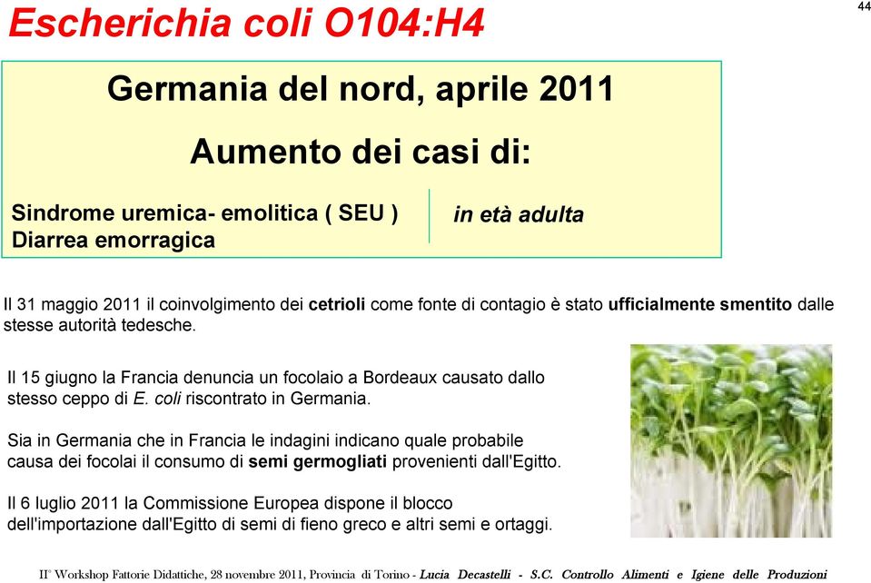 Il 15 giugno la Francia denuncia un focolaio a Bordeaux causato dallo stesso ceppo di E. coli riscontrato in Germania.