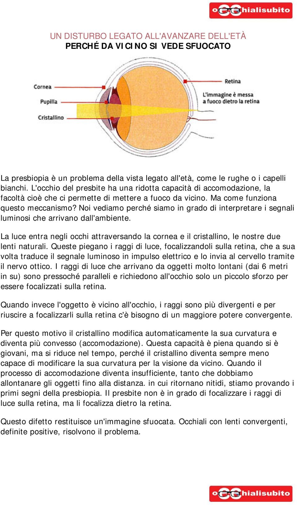 Noi vediamo perché siamo in grado di interpretare i segnali luminosi che arrivano dall'ambiente. La luce entra negli occhi attraversando la cornea e il cristallino, le nostre due lenti naturali.