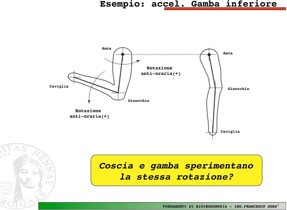 Ginocchio! Ginocchio! Rotazione! anti-oraria(+)!