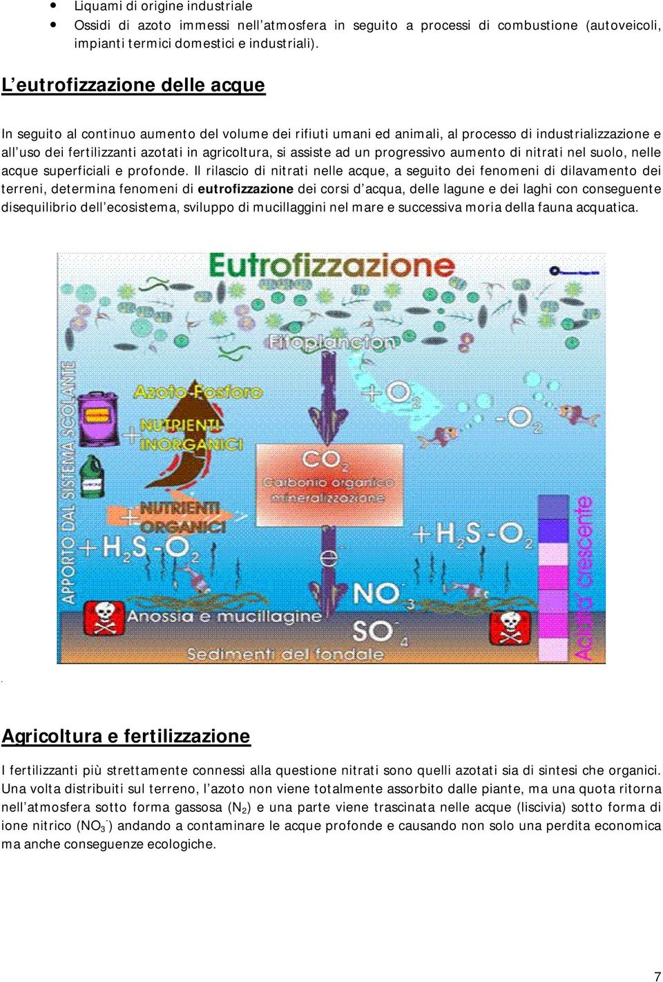 ad un progressivo aumento di nitrati nel suolo, nelle acque superficiali e profonde.