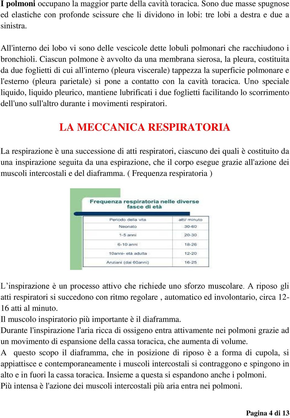 Ciascun polmone è avvolto da una membrana sierosa, la pleura, costituita da due foglietti di cui all'interno (pleura viscerale) tappezza la superficie polmonare e l'esterno (pleura parietale) si pone