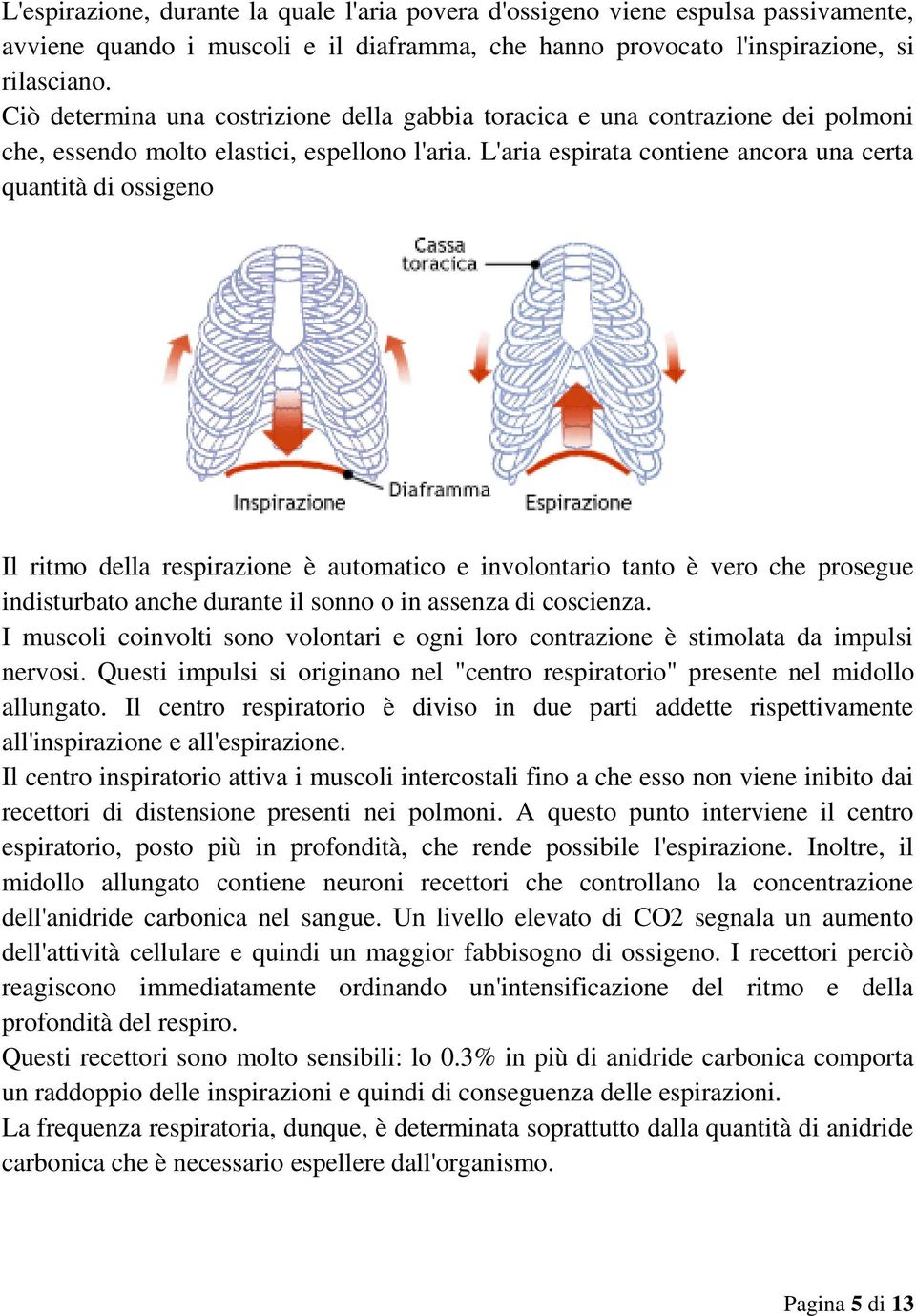 L'aria espirata contiene ancora una certa quantità di ossigeno Il ritmo della respirazione è automatico e involontario tanto è vero che prosegue indisturbato anche durante il sonno o in assenza di