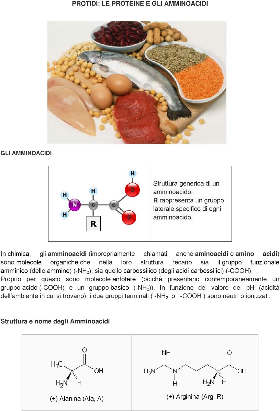 (-NH 2 ), sia quello carbossilico (degli acidi carbossilici) (-COOH).