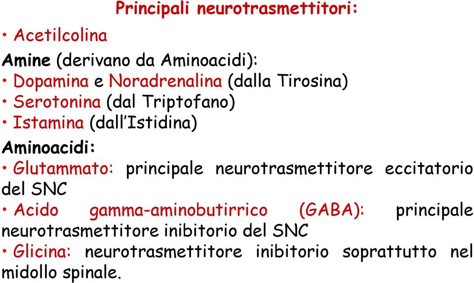 Glutammato: principale neurotrasmettitore eccitatorio del SNC Acido gamma-aminobutirrico (GABA):