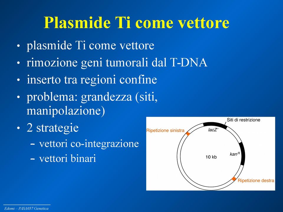 regioni confine problema: grandezza (siti,