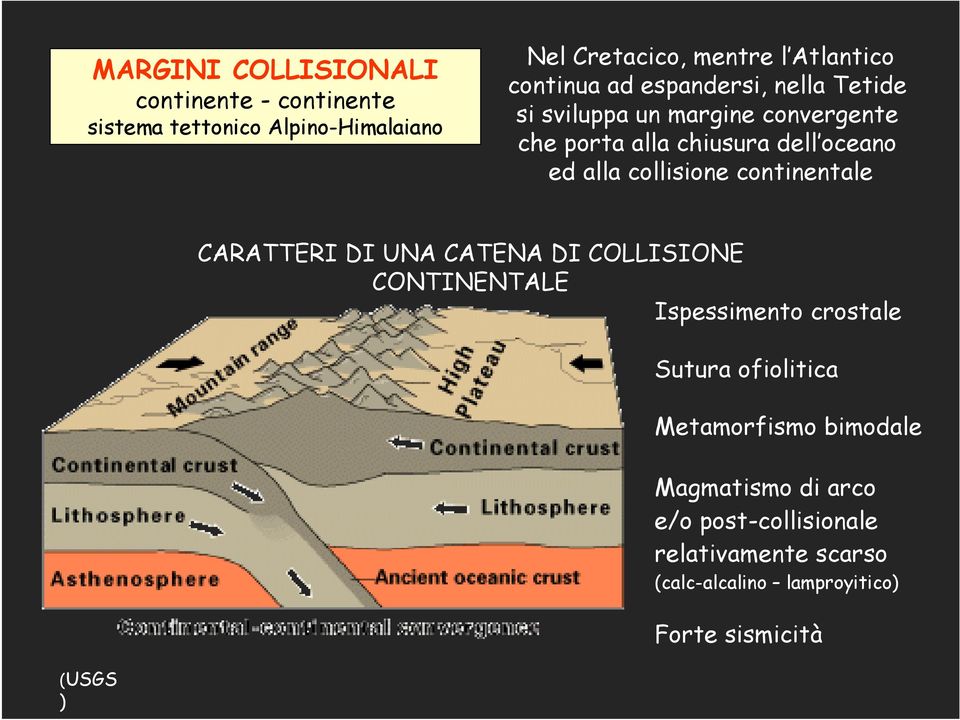 collisione continentale CARATTERI DI UNA CATENA DI COLLISIONE CONTINENTALE Ispessimento crostale Sutura ofiolitica