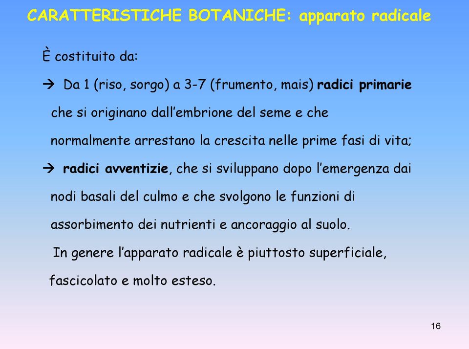 radici avventizie, che si sviluppano dopo l emergenza dai nodi basali del culmo e che svolgono le funzioni di