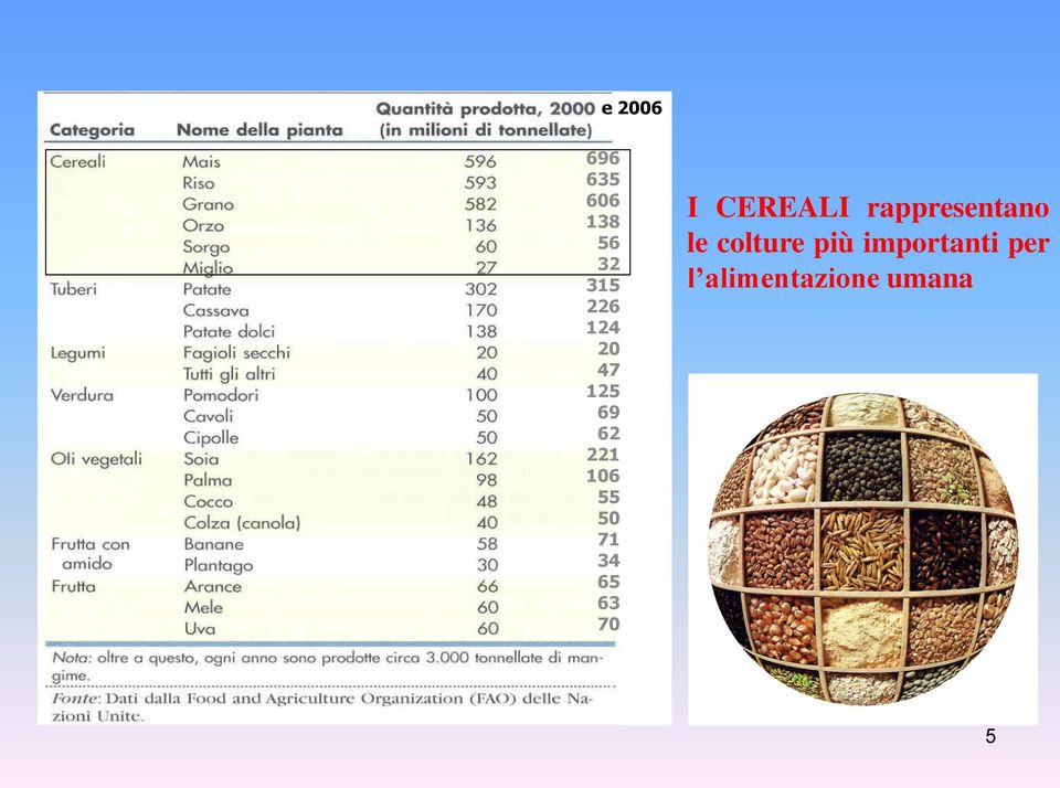 63 70 I CEREALI rappresentano le colture