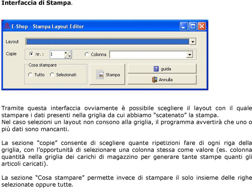 Nel caso selezioni un layout non consono alla griglia, il programma avvertirà che uno o più dati sono mancanti.