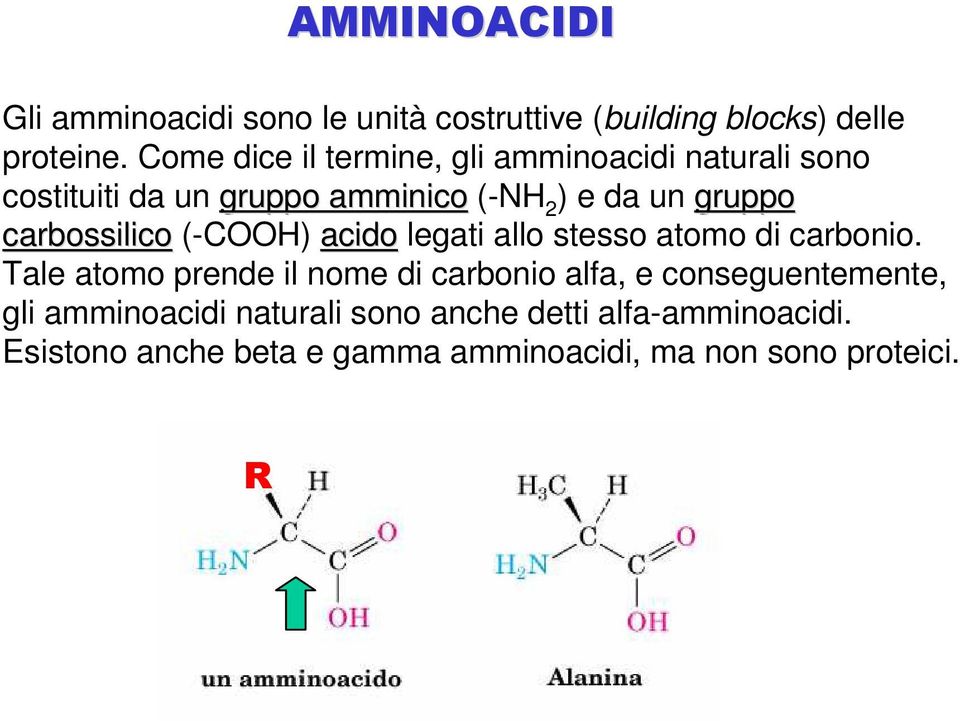 carbossilico (-COOH) acido legati allo stesso atomo di carbonio.