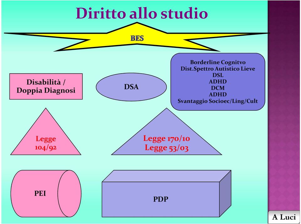 Spettro Autistico Lieve DSL ADHD DCM ADHD