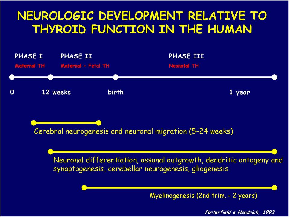 migration (5-24 weeks) Neuronal differentiation, assonal outgrowth, dendritic ontogeny and