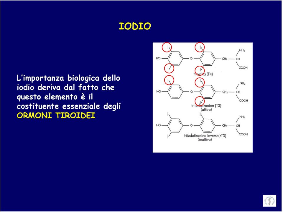 questo elemento è il